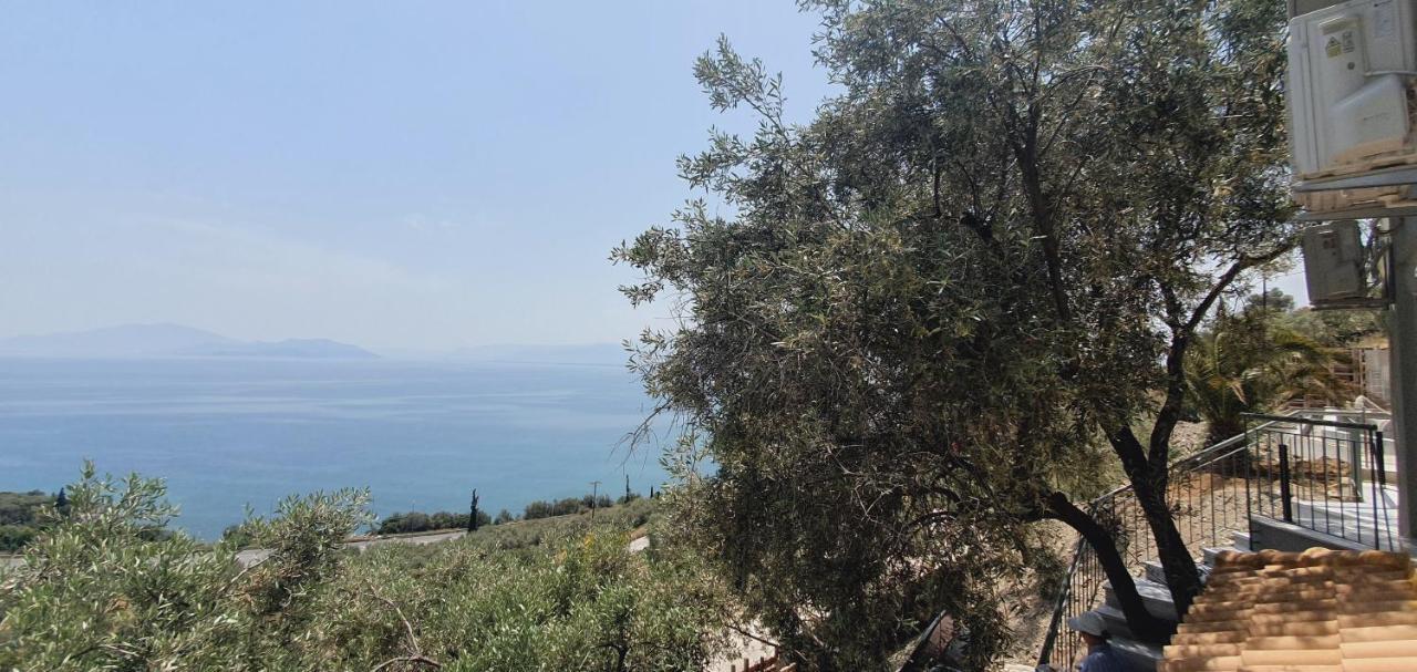 Alba Ocean View Luxury * Nea Anchialos